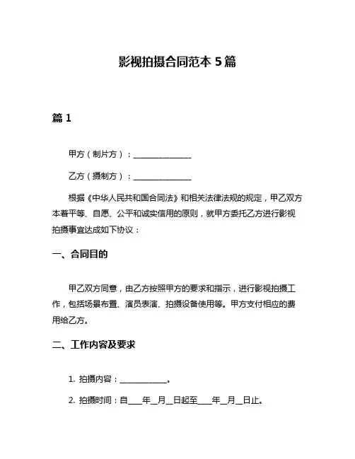 影视拍摄合同范本5篇