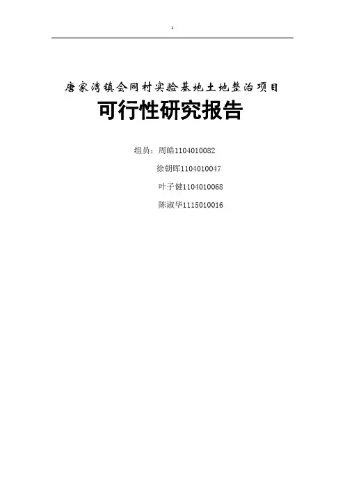 土地整治项目可行性研究
