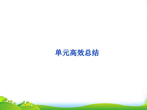 高考历史总复习 第十单元中国社会主义建设发展道路的探索单元高效总结课件(广东专用)