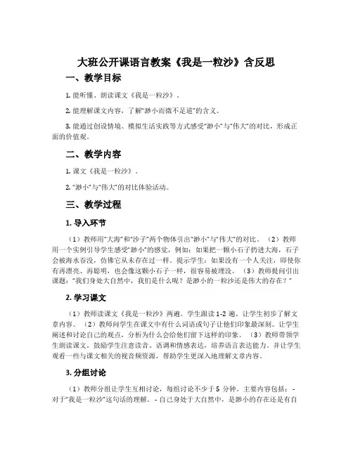 大班公开课语言教案《我是一粒沙》含反思