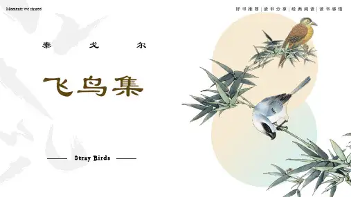 《飞鸟集》主题班会PPT课件