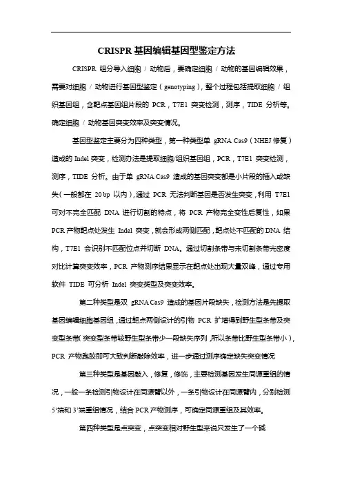 CRISPR基因编辑基因型鉴定方法