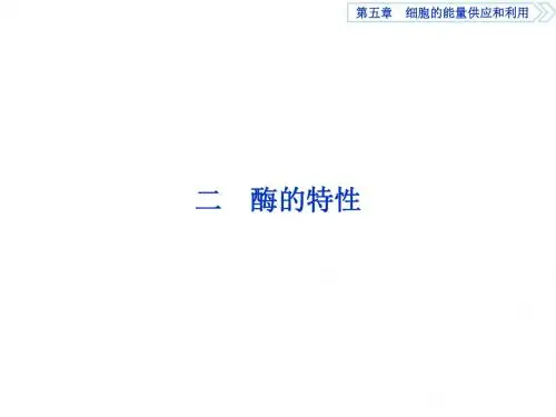 高中同步创新课堂生物优化方案人教版必修1课件：第五章第1节二