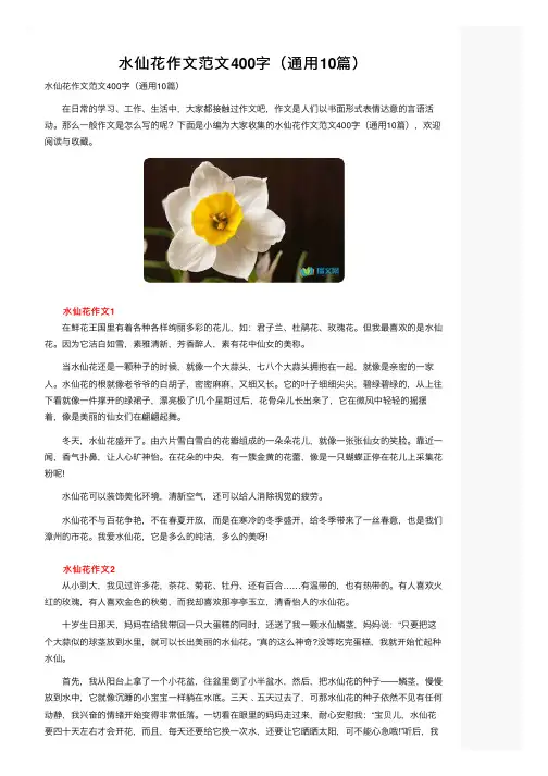 水仙花作文范文400字（通用10篇）
