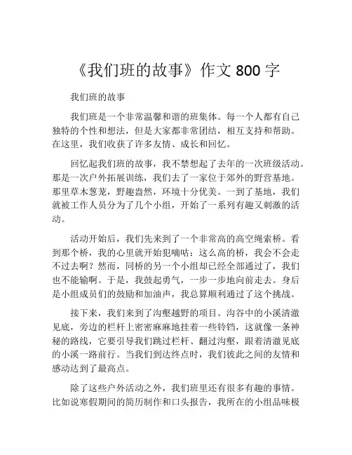 《我们班的故事》作文800字