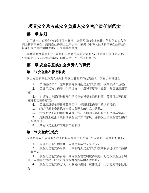 项目安全总监或安全负责人安全生产责任制范文[001]