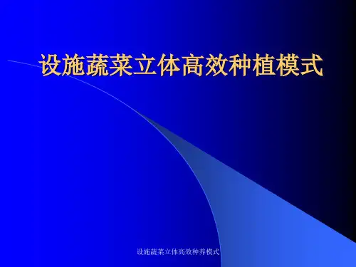 设施蔬菜立体高效种养模式