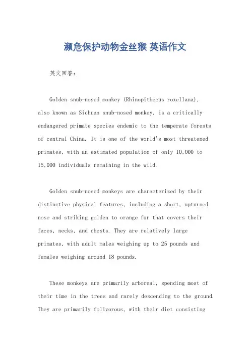 濒危保护动物金丝猴 英语作文