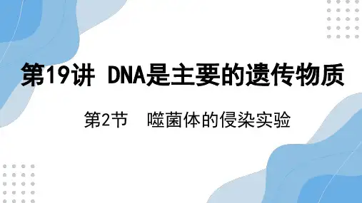 噬菌体侵染细菌实验