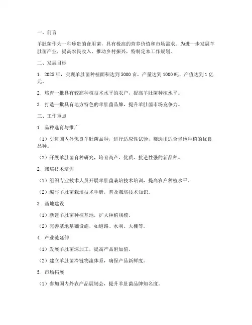 羊肚菌工作规划