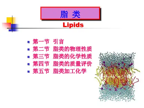 《食品化学脂类》PPT课件