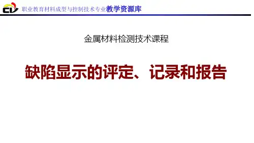 缺陷显示的评定、记录和报告