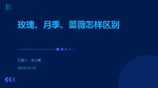 玫瑰、月季、蔷薇怎样区别
