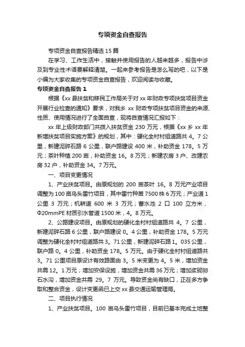 专项资金自查报告精选15篇