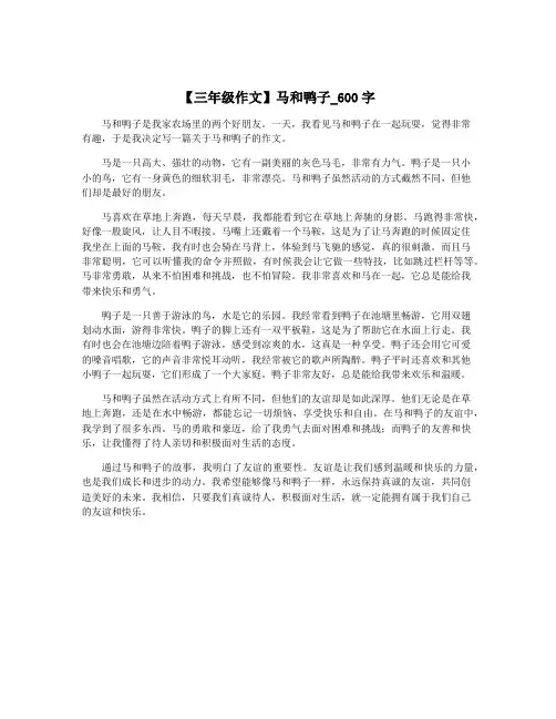 【三年级作文】马和鸭子_600字