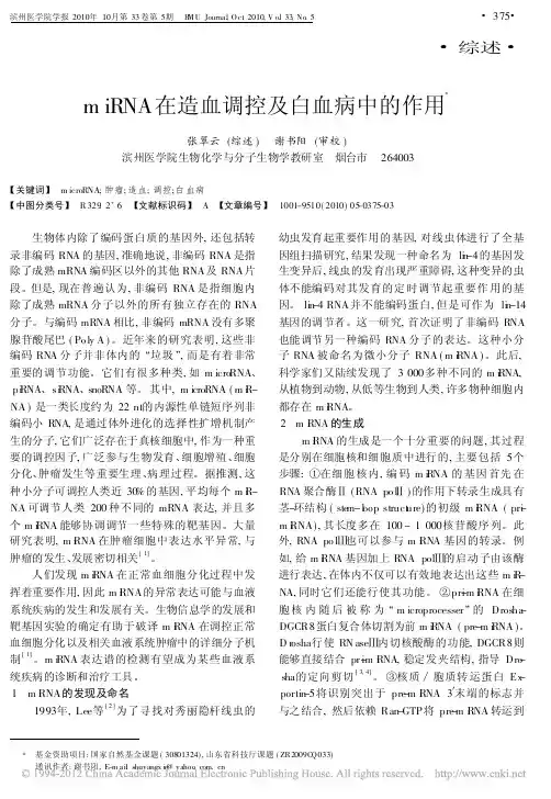 miRNA在造血调控及白血病中的作用