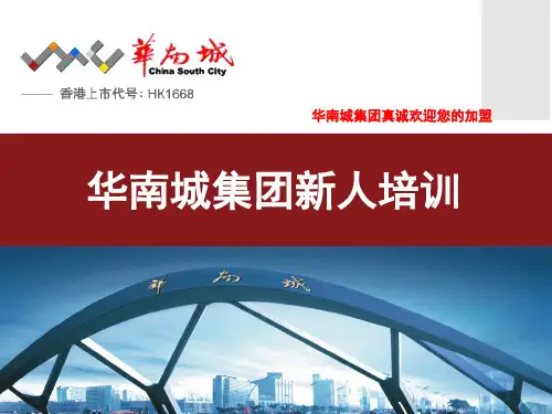 华南城集团介绍