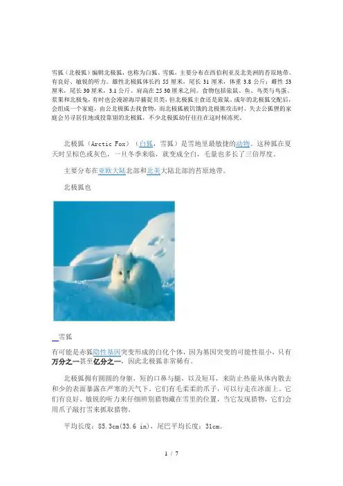 动物介绍Word