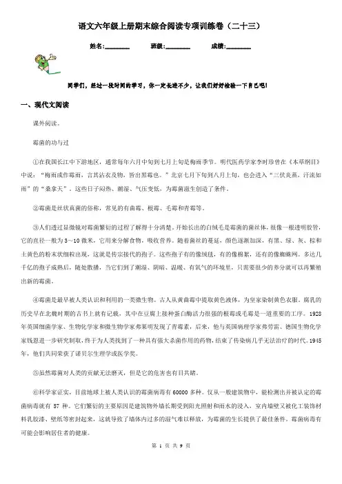 语文六年级上册期末综合阅读专项训练卷(二十三)