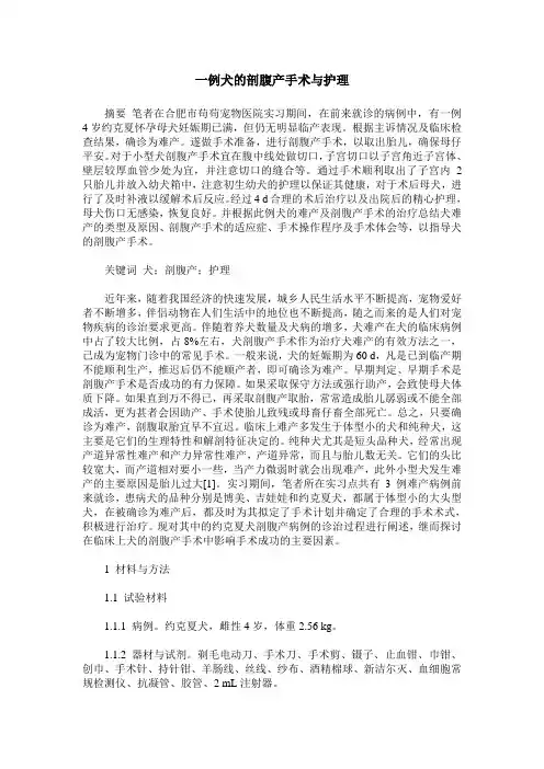 一例犬的剖腹产手术与护理