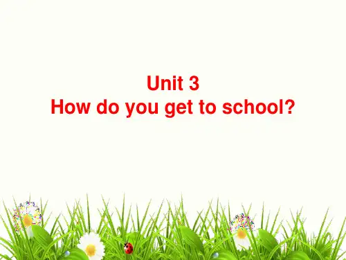 人教版七年级英语下册Unit 3 Section B(1a-1e)课件