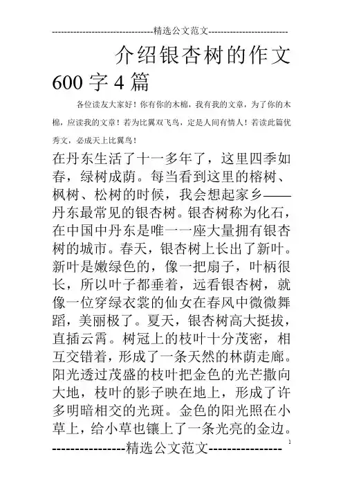 介绍银杏树的作文600字4篇