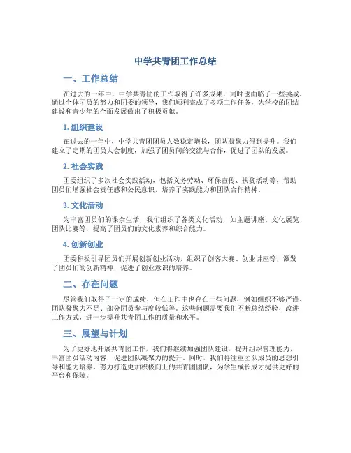 中学共青团工作总结