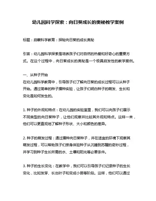 幼儿园科学探索：向日葵成长的奥秘教学案例