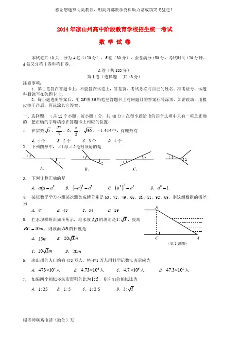 四川省凉山州2014年中考数学真题试题(含扫描答案)