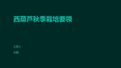 西葫芦秋季栽培要领
