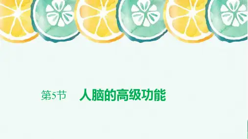 高中生物选修1(新教材)精品课件：2-5 人脑的高级功能 人教版