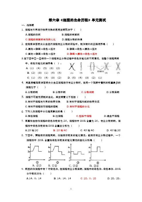 高二生物教案 细胞的生命历程测试题