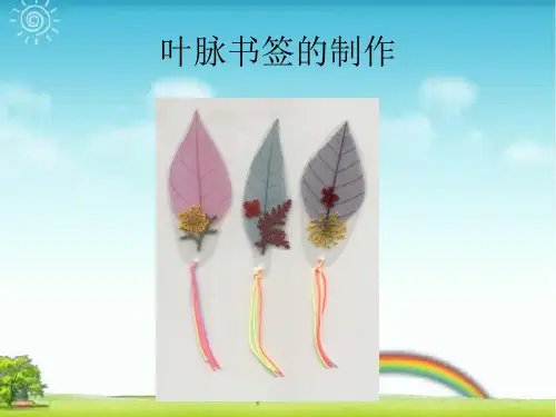 人教版二年级美术：叶脉书签的制作-素材.ppt