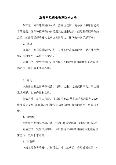 草莓常见病虫害及防治方法