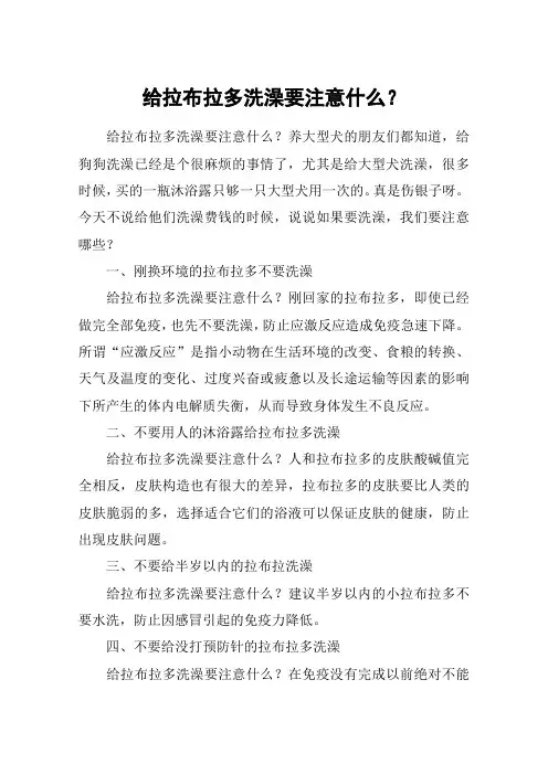 给拉布拉多洗澡要注意什么？