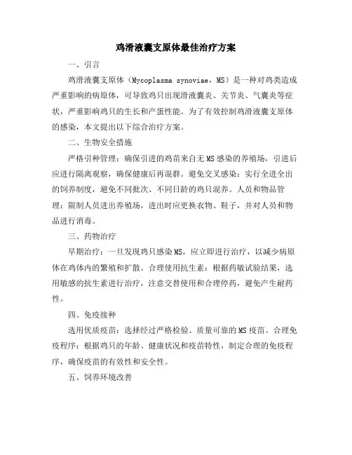 鸡滑液囊支原体最佳治疗方案