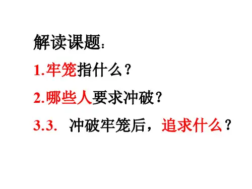 冲破思想的牢笼PPT精品文档52页