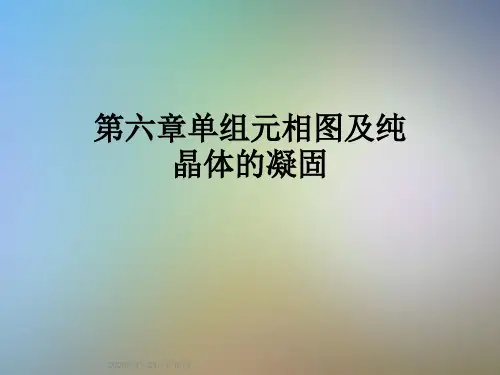 第六章单组元相图及纯晶体的凝固