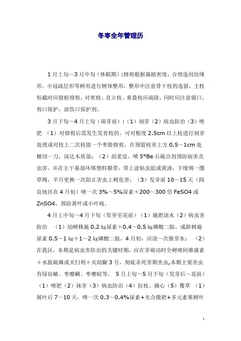 冬枣全年管理历