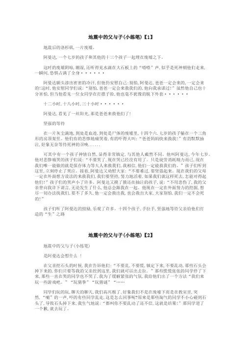 地震中的父与子(小练笔)作文
