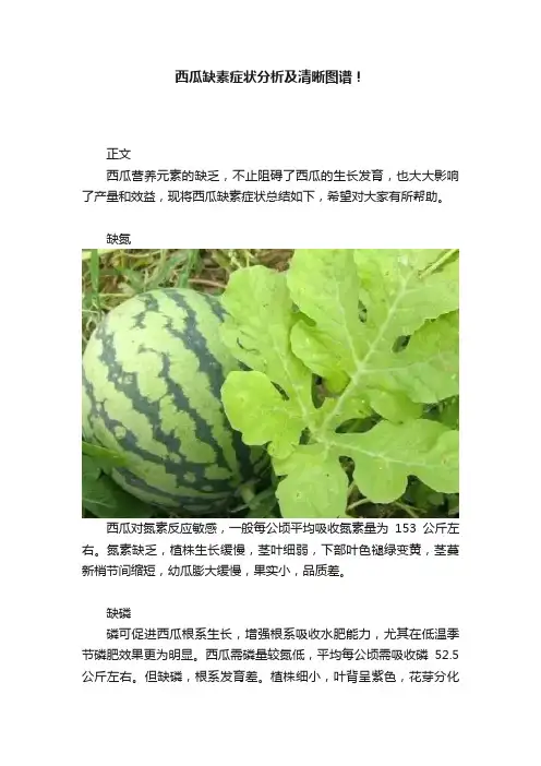 西瓜缺素症状分析及清晰图谱！