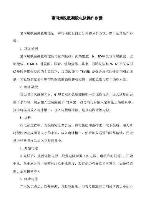 聚丙烯酰胺凝胶电泳操作步骤