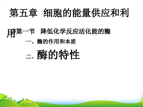 高中生物必修一教学课件：5.1.2酶的特性 (共26张PPT)