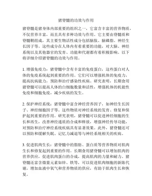 猪脊髓的功效与作用