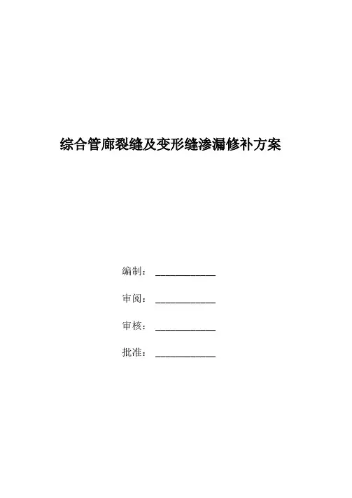 综合管廊裂缝及变形缝渗漏修补方案