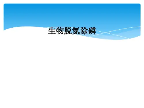 生物脱氮除磷