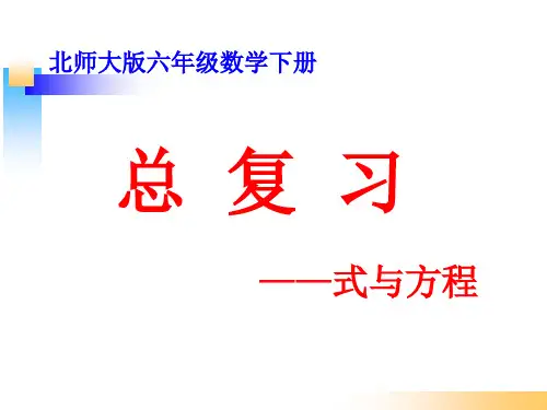 北师大版六年级数学下册《总复习-数与代数-式与方程》PPT