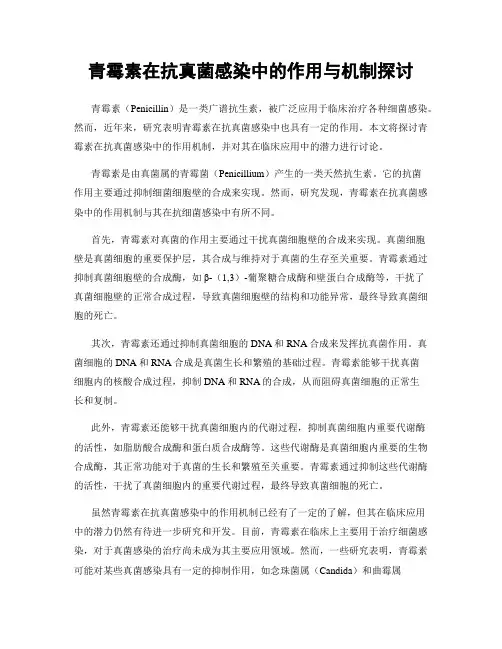 青霉素在抗真菌感染中的作用与机制探讨