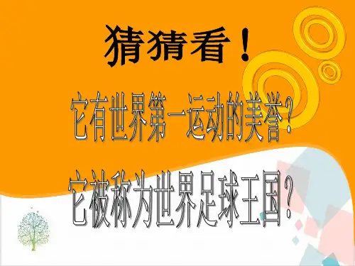 湘教版七年级(下)地理巴西》