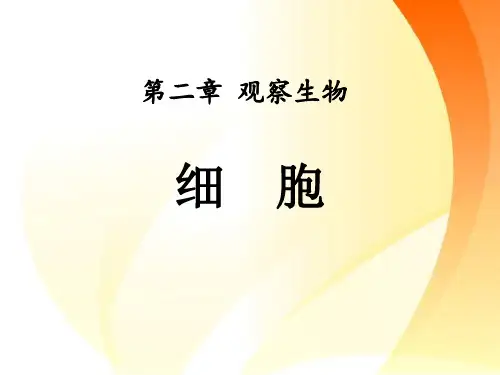 《细胞》科学PPT课件(3篇)